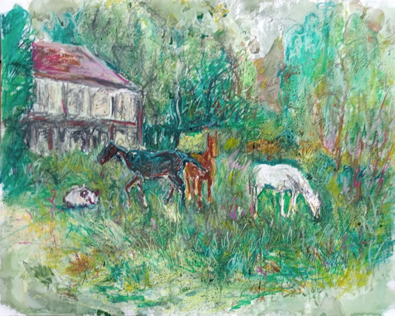 paarden op marcasse
